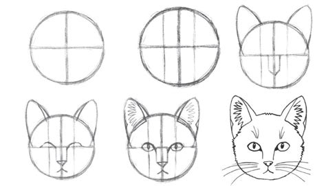Пошаговая инструкция для начинающих художников: как нарисовать кошку Лану и Йоши