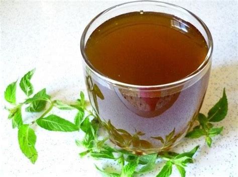 Пошаговая инструкция приготовления сиропа из мяты