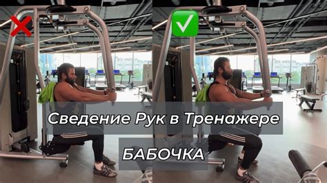 Пошаговое руководство: основные принципы тренировки
