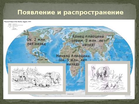 Появление и распространение
