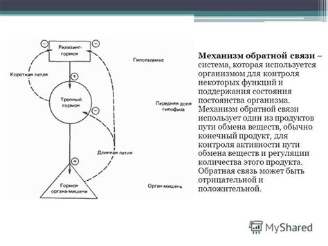 Появление механизма обратной связи