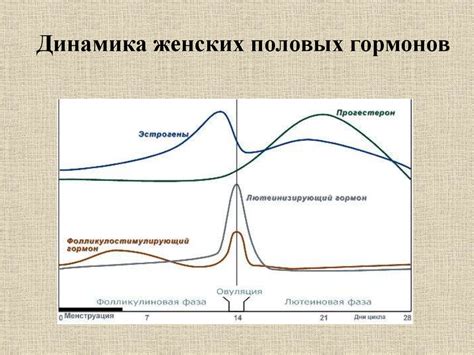 Правда о наличии женских гормонов в квасе