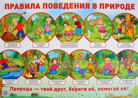 Правила безопасности при рисовании в природе