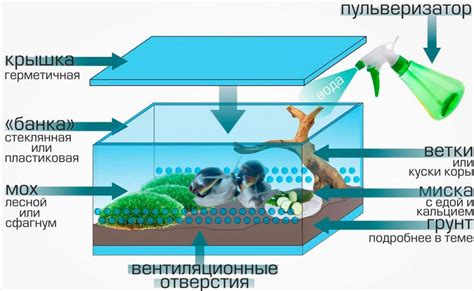 Правила использования гнусной пыли в террариуме