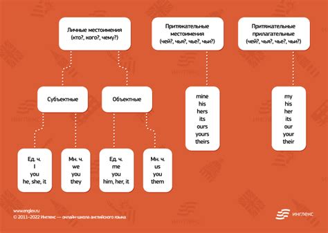 Правила использования she и her в английском языке