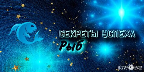 Правила кормления морских рыб хлебом: секреты успеха