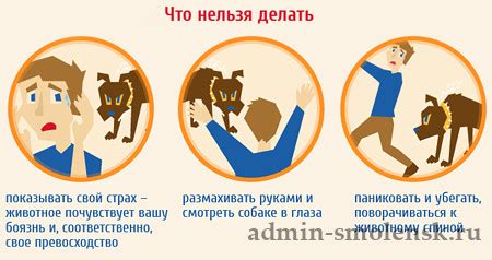 Правила поведения при общении с батюшкой