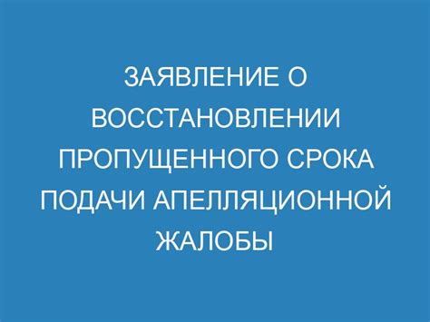 Правила подачи апелляционной жалобы