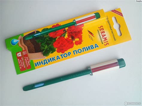 Правила полива и влажности грунта