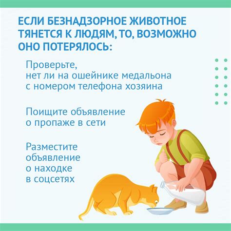 Правила содержания домашних животных