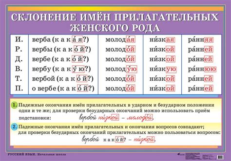 Правила узнавания рода и числа имен прилагательных