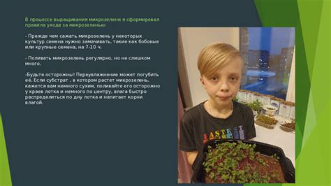 Правила ухода за микрозеленью
