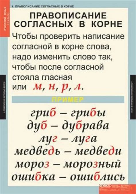 Правило написания согласных в словах