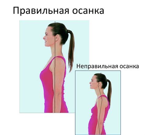Правильная осанка и положение спины