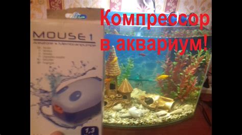 Правильная установка аквариумного компрессора в аквариум