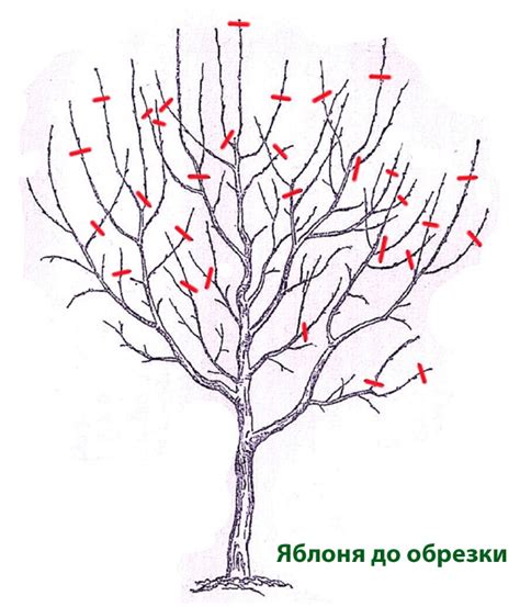 Правильная формировка веток