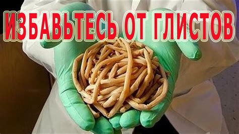 Правильное лечение глистов: эффективные способы и препараты