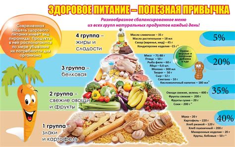 Правильное питание: основа результата