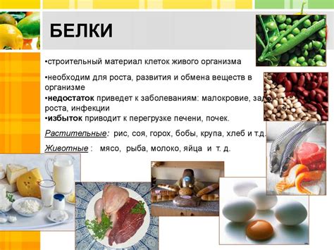 Правильное питание для здоровья хвоста щуки