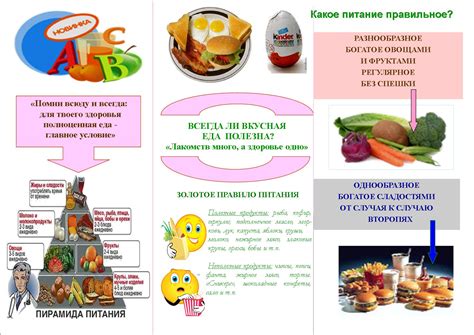 Правильное питание и добавки для зрения