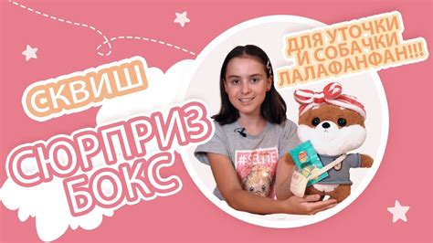 Правильное питание собачки Лалафанфан