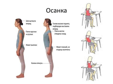 Правильное положение спины - здоровая осанка