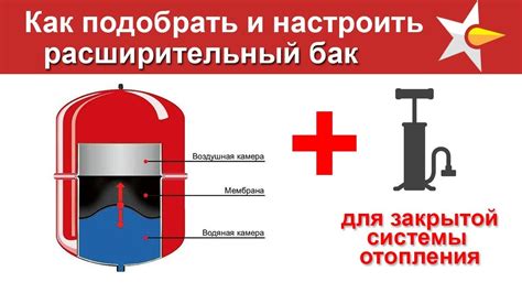 Правильный подбор и настройка ошейника