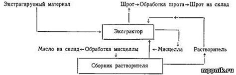 Правильный процесс экстракции
