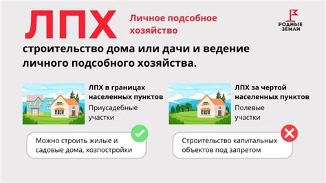 Правовые ограничения и разрешения для ЛПХ