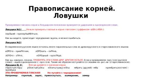 Правописание слова в современном русском языке
