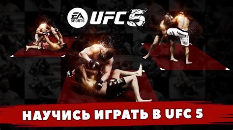 Практика и тренировки в UFC 3