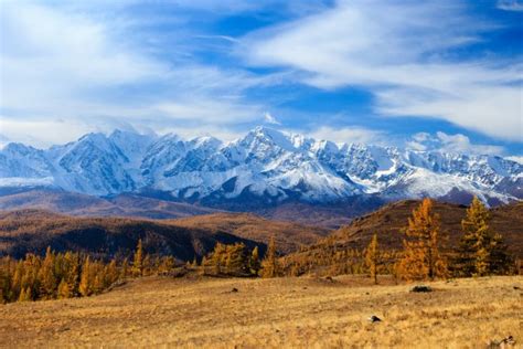 Практика созерцания природы