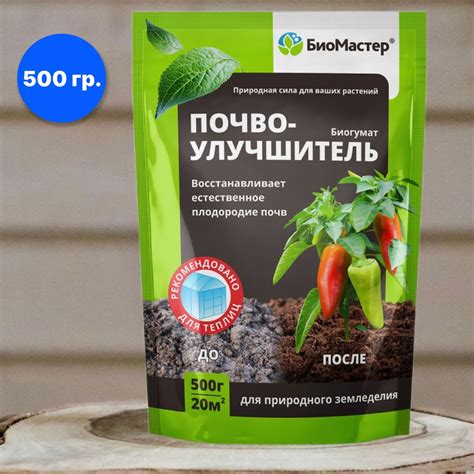 Практики и рекомендации для эффективного восстановления почвы