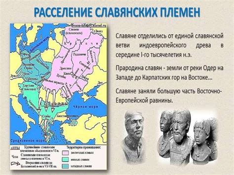 Практические советы по очистке дома от руси