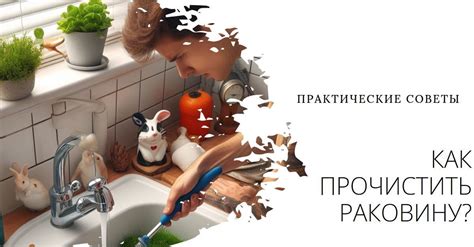 Практические советы по очистке рапанов