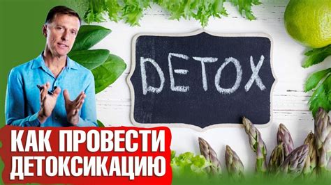 Практические советы по очищению организма от шлаков и токсинов