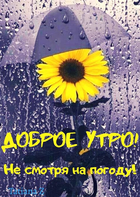 Превращение солнечного дня в дождливое утро