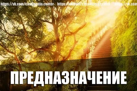 Предназначение
