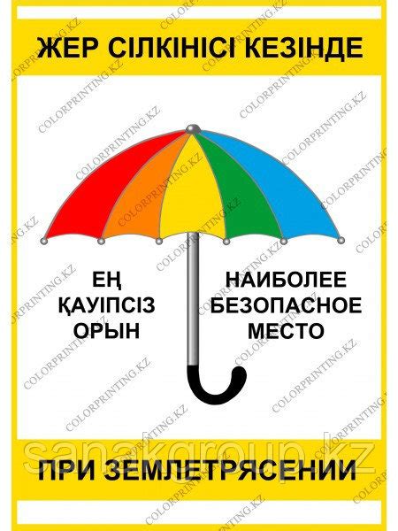 Предоставьте котенку безопасное место