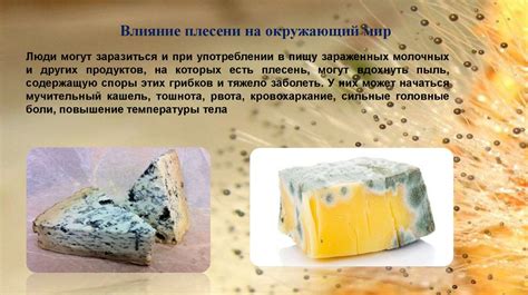 Предотвращение образования плесени и грибока