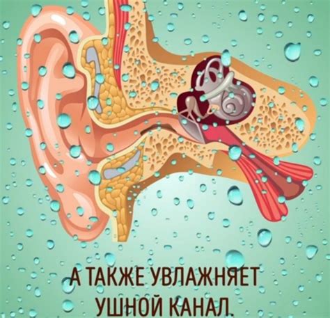 Предотвращение образования серной пробки