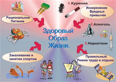 Предпочтение здоровому образу жизни