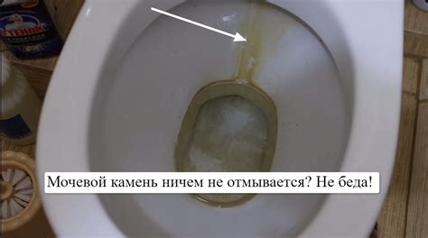 Предупреждение известкового налета в кувшине