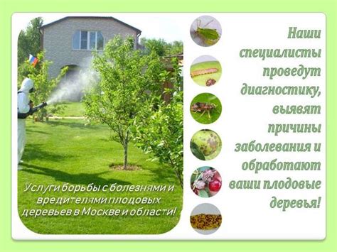 Предупреждение и борьба с вредителями