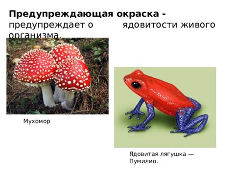 Предупреждение о ядовитости