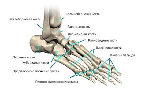 Прежде всего, что такое подворот стопы