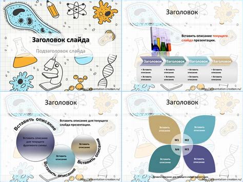 Презентация по биологии
