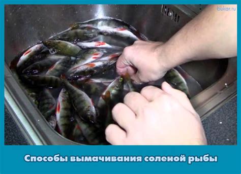 Преимущества вымачивания