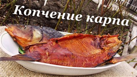 Преимущества горячего копчения карпа