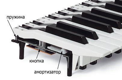 Преимущества добавления звука клавиатуры